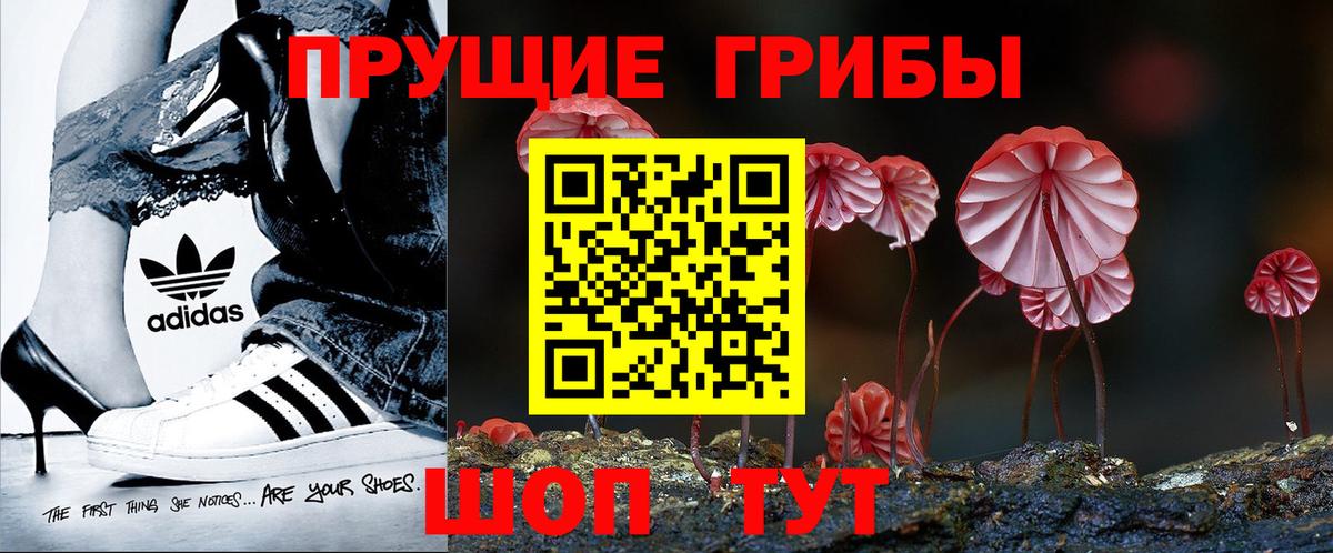 Галлюциногенные грибы прущие грибы  Псилоцибиновые грибы ЛСД  Моршанск  Вход с VPN 