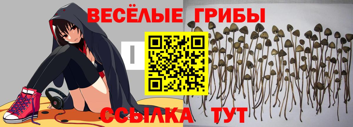 Псилоцибиновые грибы MAGIC MUSHROOMS Моршанск