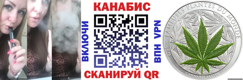 Шишки марихуана планчик  цены   Моршанск 