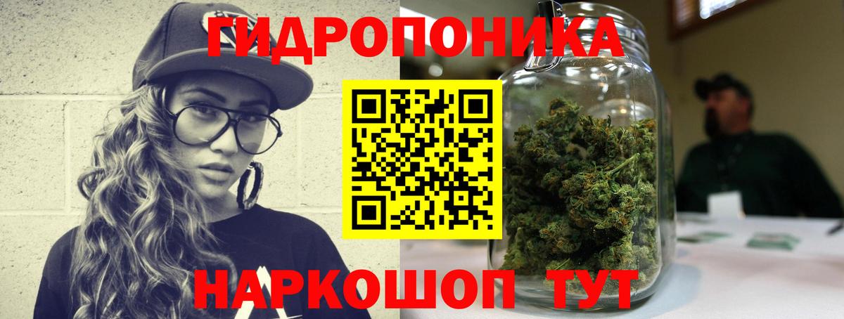 Шишки марихуана планчик  Бошки Шишки Bruce Banner  Канабис LSD WEED  Бошки Шишки гибрид  Моршанск  Вход с VPN 