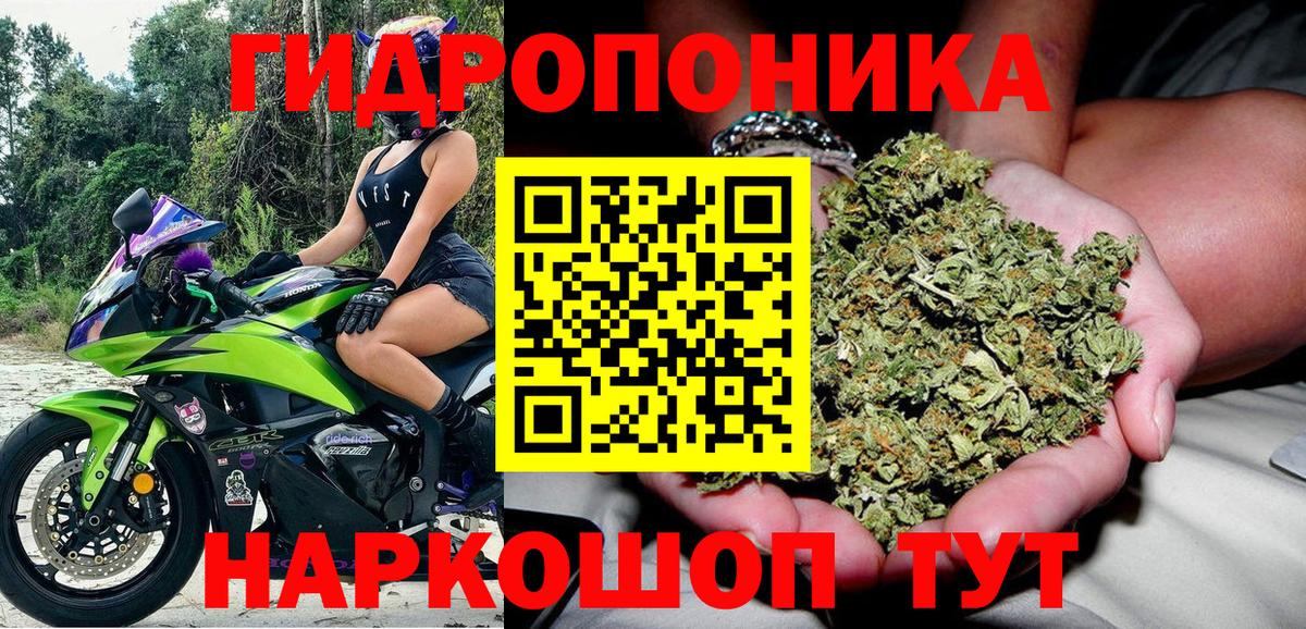 Шишки марихуана MAZAR Моршанск